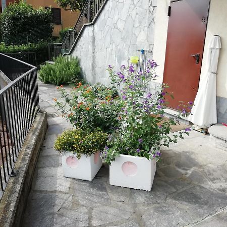 לאבנה פונטה טרסה Villa Banfi מראה חיצוני תמונה