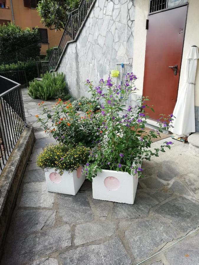 לאבנה פונטה טרסה Villa Banfi מראה חיצוני תמונה