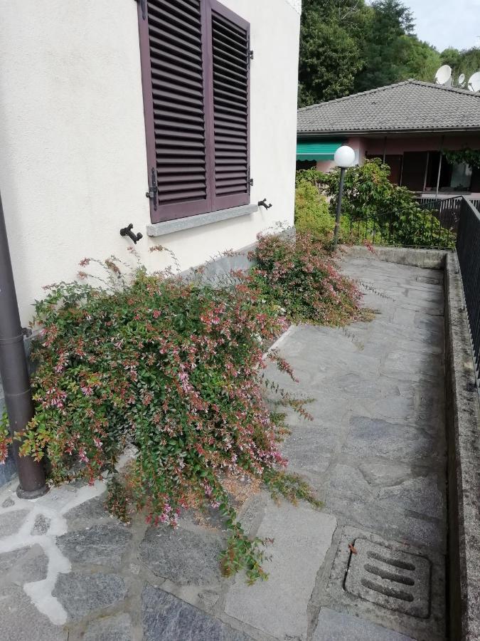 לאבנה פונטה טרסה Villa Banfi מראה חיצוני תמונה