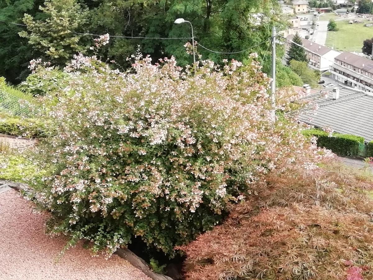 לאבנה פונטה טרסה Villa Banfi מראה חיצוני תמונה