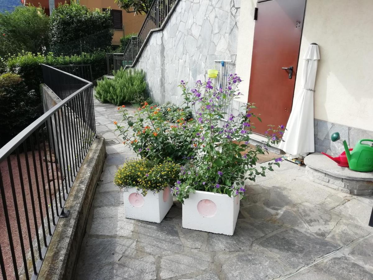 לאבנה פונטה טרסה Villa Banfi מראה חיצוני תמונה