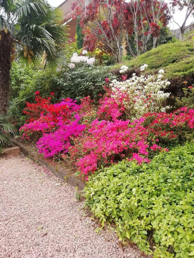 לאבנה פונטה טרסה Villa Banfi מראה חיצוני תמונה