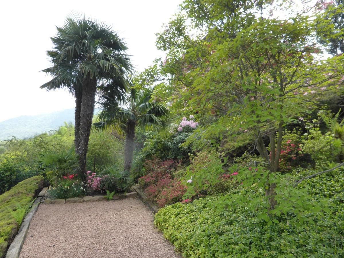 לאבנה פונטה טרסה Villa Banfi מראה חיצוני תמונה